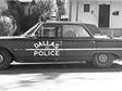 Source: Old Oak Cliff Conservation League